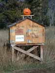 Pumpkin on Mailbox, October 2004