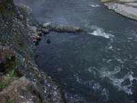 River garbage