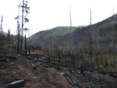 Burn along North Fork