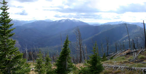 East Fork / North Fork Confluence area