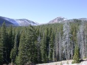 Mt. Evans