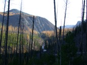 Looking down North Fork above the trailhead