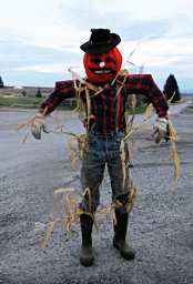 Gary the Scarecrow