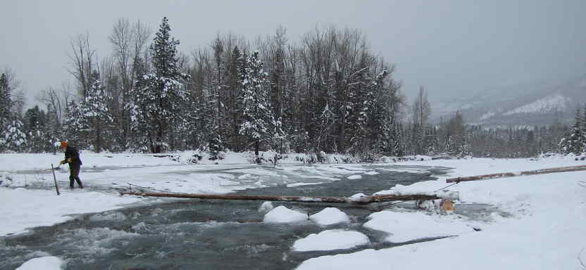 Ski Bridge