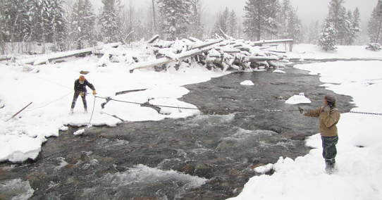 Ski Bridge