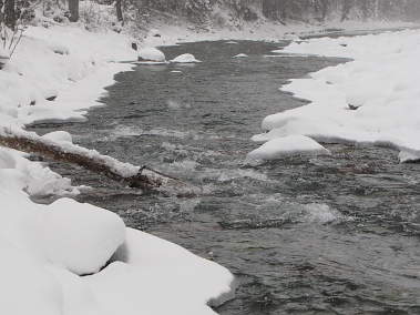 Ski Bridge