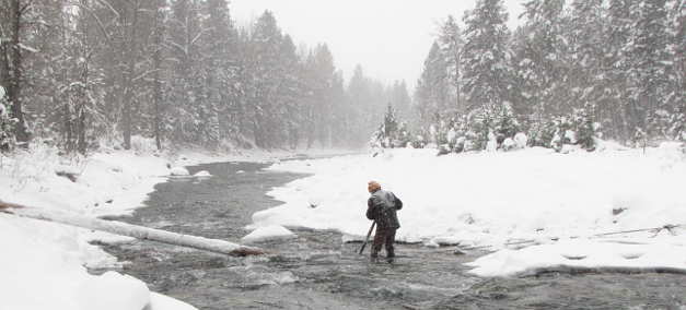 Ski Bridge