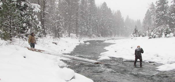 Ski Bridge