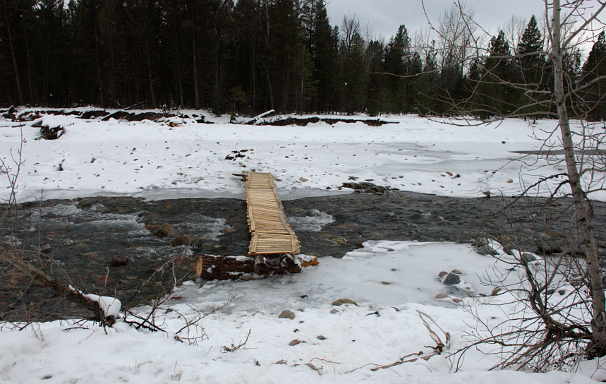 Ski Bridge