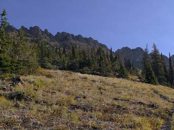 Looking up towards the Ridgetop