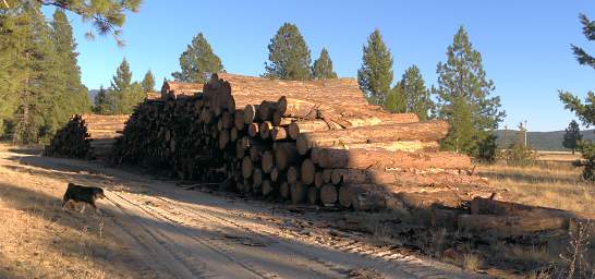 Log Deck