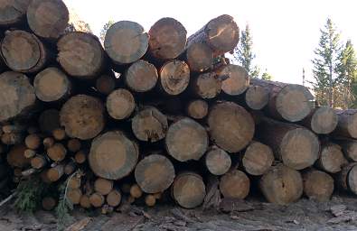 Log Deck