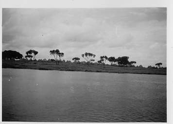 Egypt Dome Palms Nile SSudan