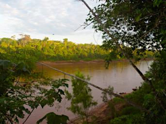 Tambopata LXxx