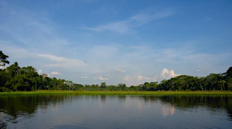 Tambopata LXxx