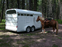 Horse trailer and Daiquiri