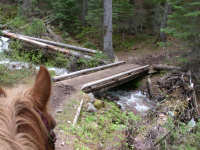 Trail Bridge