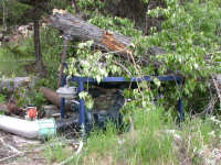 Pump with tree on top