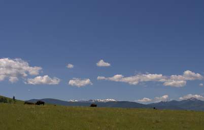 Bison Range