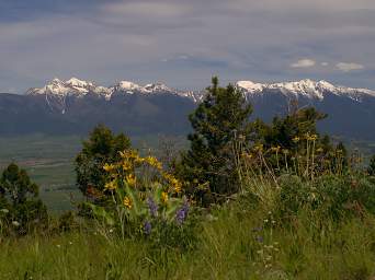 Bison Range