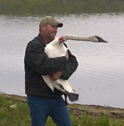 SwanRelease_0137_20130516