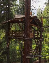 Tree House