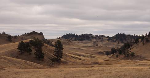 Bears Paw Hills