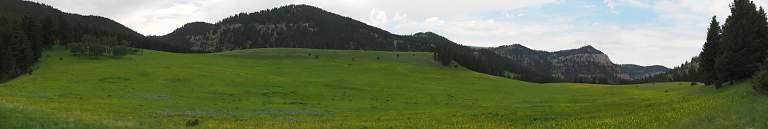 Cliff Top Meadow