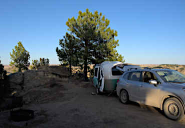 20210407 Makoshika Camp Pine On Rock