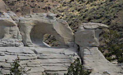 Neat Coulee Arch