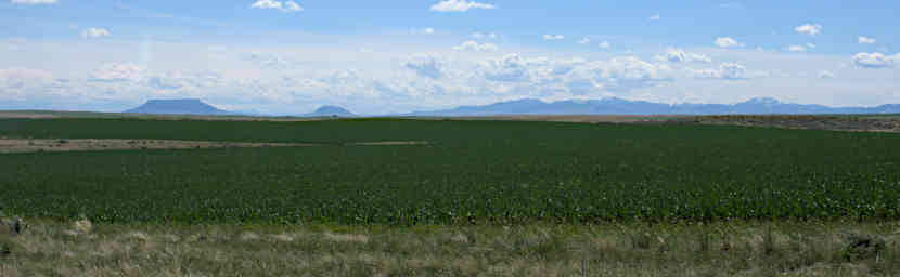 Hole In Wall Wheat Field