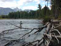 Elk River, BC, fishing