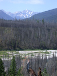 Looking up Big Salmon Lake Valley to Holland Peak