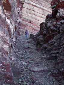 Dona, Ptarmigan Trail