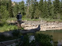 Ian looking over log jam