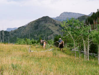 Gary with horses