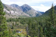 Looking Up South Fork Birch Creek