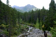 South Fork Birch Creek Country