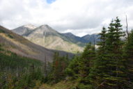 Looking North towards South Fork Birch Creek