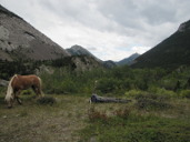 View up South Fork Birch Creek from Camp