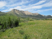 Elk Creek Headwaters South of Crown Mountain