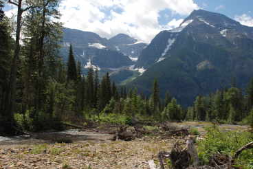 Bowman Creek & Mt. Carter