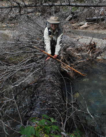 Dona Crossing Bowman Creek on Log