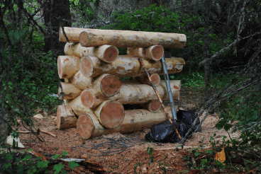 Logs for bridge landing