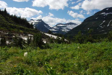 View West from Brown Pass