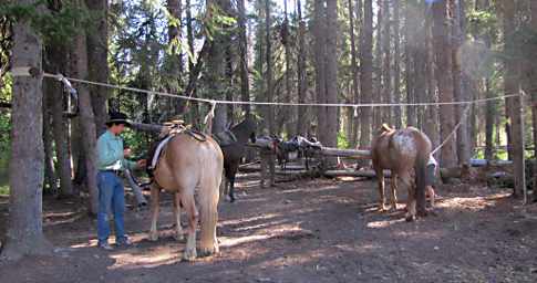 Adin Unloading at Young's Creek Camp