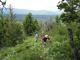 Dona and Sid on the Way Up