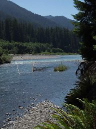 Hoh River