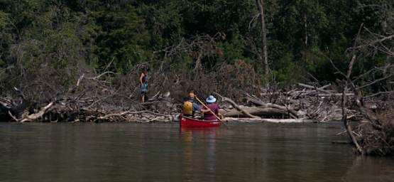 Log Jam