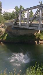 Adin Riley Bridge Jump